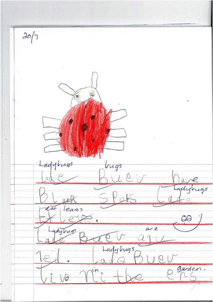 /uploaded_files/media/gallery/1659496282Lady bugs writing1024_1.jpg